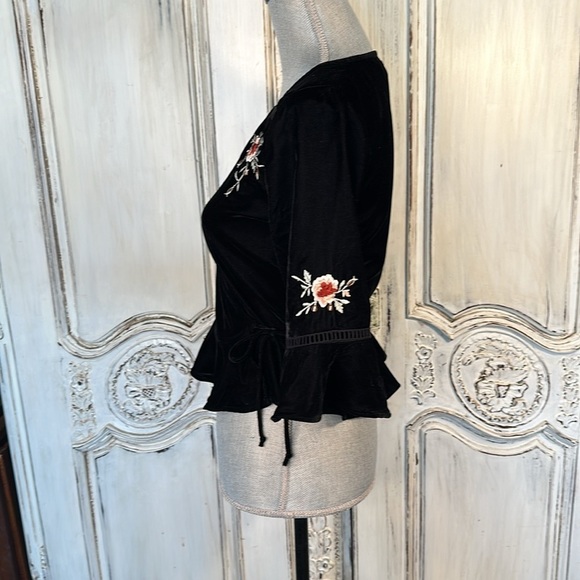 Topshop Gothic Fairycore Victorian Edwardian Black Velvet Embroidered Wrap Top - Picture 8 of 12